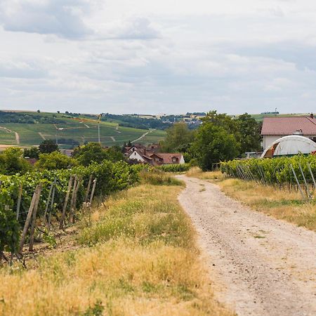 Appartment In Den Weinbergen Bei Mainz - Mit 2X Doppelzimmern, 1X Grosses Wohnzimmer, Bad & Kueche Stadecken-Elsheim Екстер'єр фото